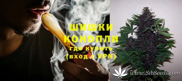 apvp Богородск