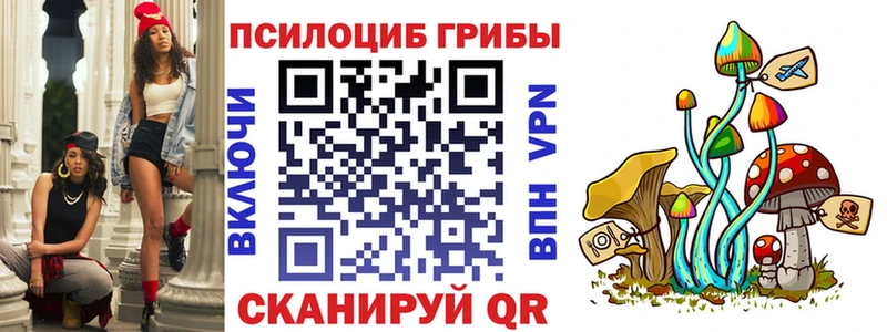 Галлюциногенные грибы прущие грибы  Купить  Новохопёрск 